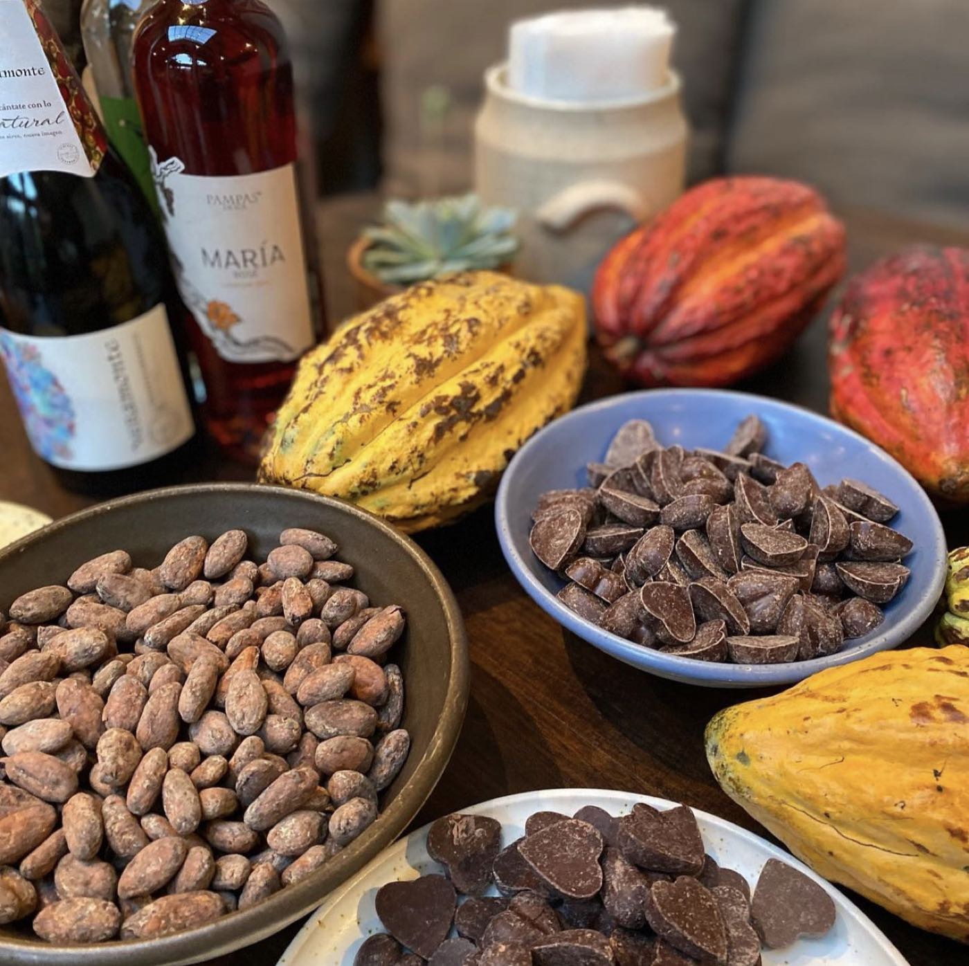 Cacao pods, chocolate and bottles laid out on a table